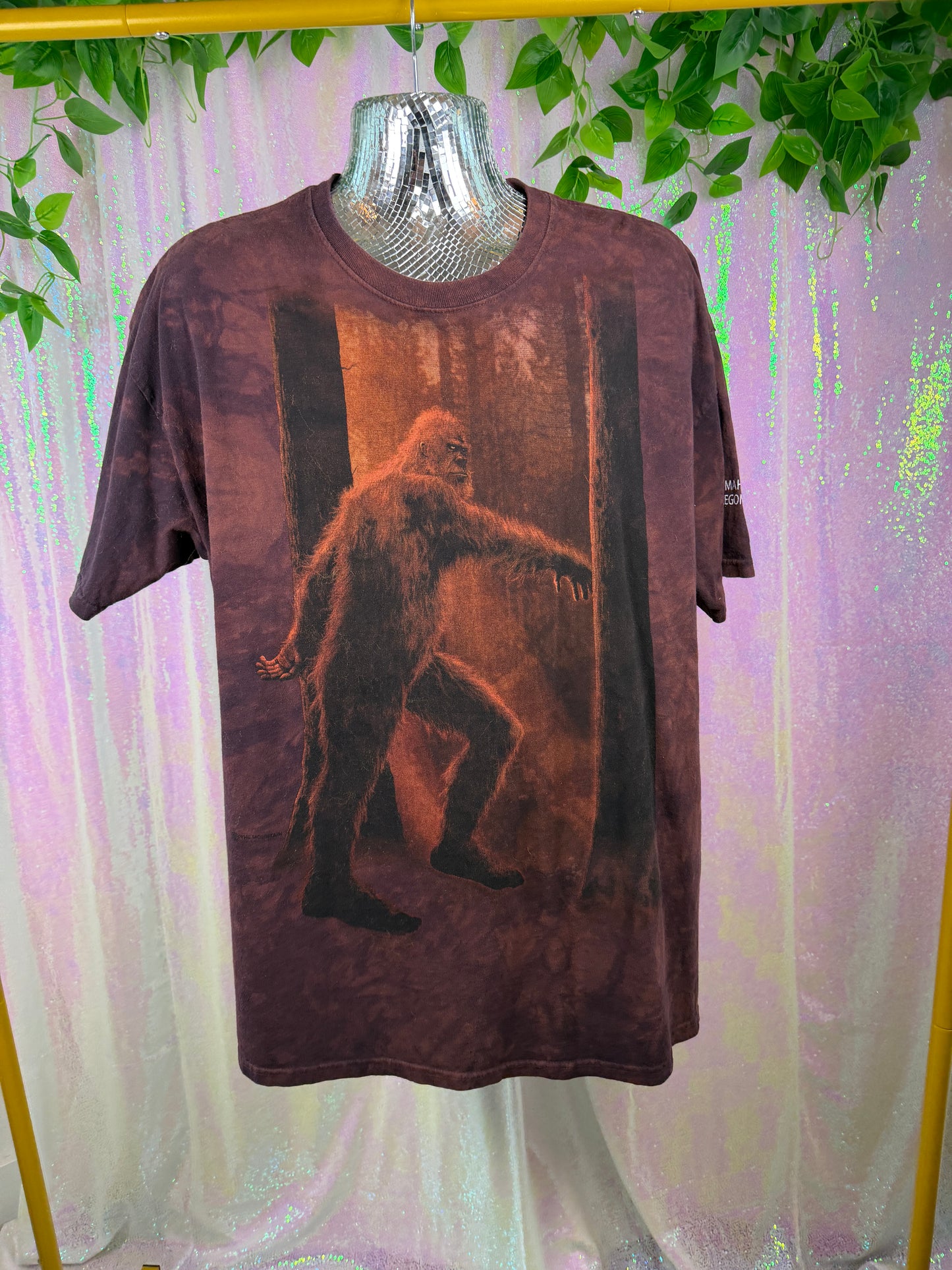 The Mountain (XL+) 👣🌲🪵🏕️ Bigfoot Sasquatch graphic rusty brown acid wash t-shirt (factory tagged: XL)