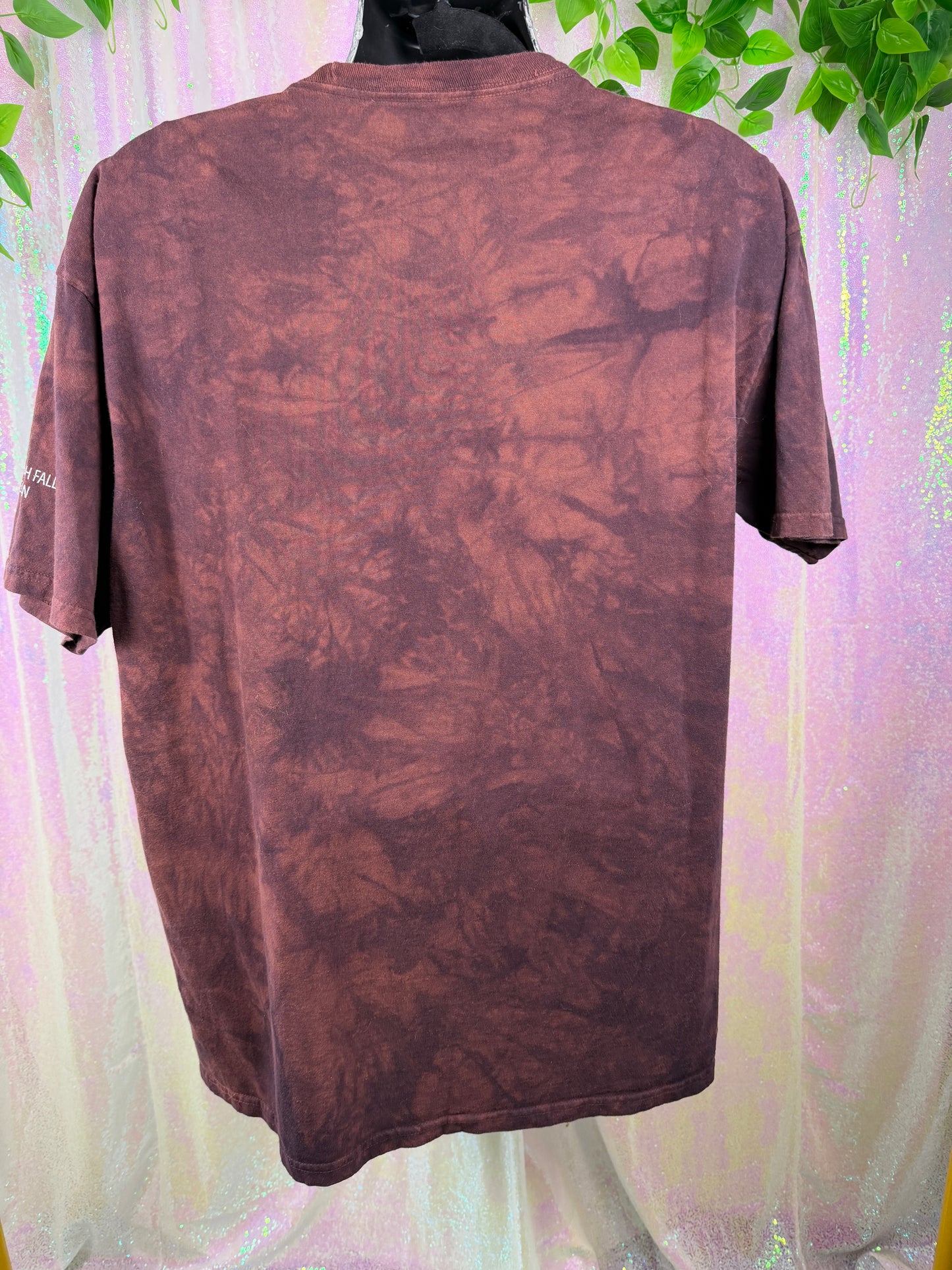 The Mountain (XL+) 👣🌲🪵🏕️ Bigfoot Sasquatch graphic rusty brown acid wash t-shirt (factory tagged: XL)