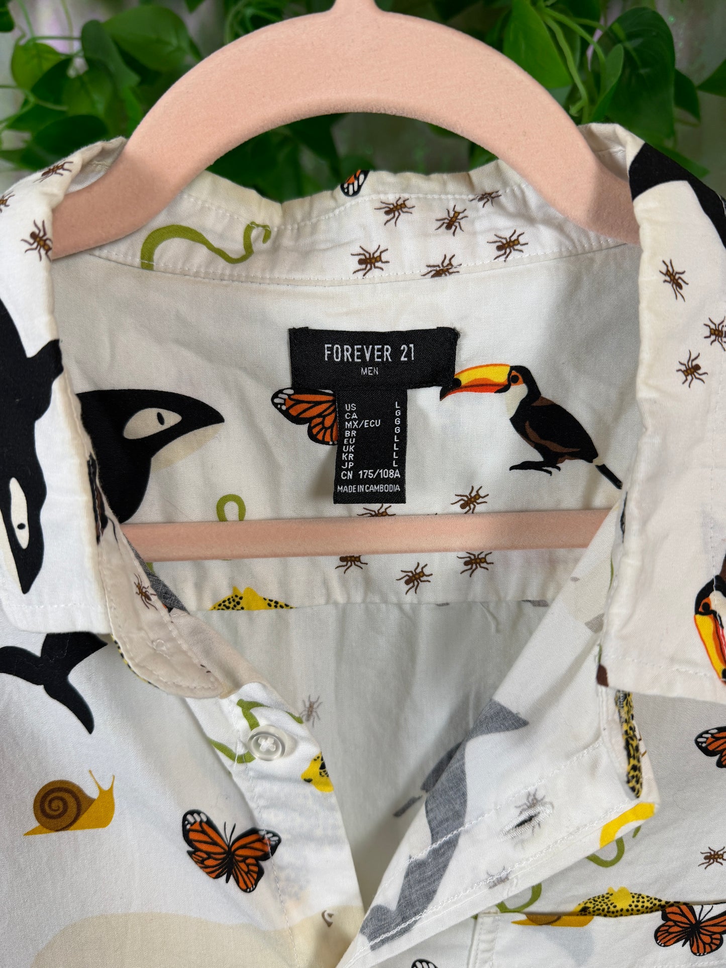 Full-Bag Value Bundle (L) 🌿🧡🌀🐆 earthbound comfort warm neutral chiller, woven striped drug rug, super soft extra fuox cashmere  long t-shirt, playful ivory (factory tagged: L & XL)